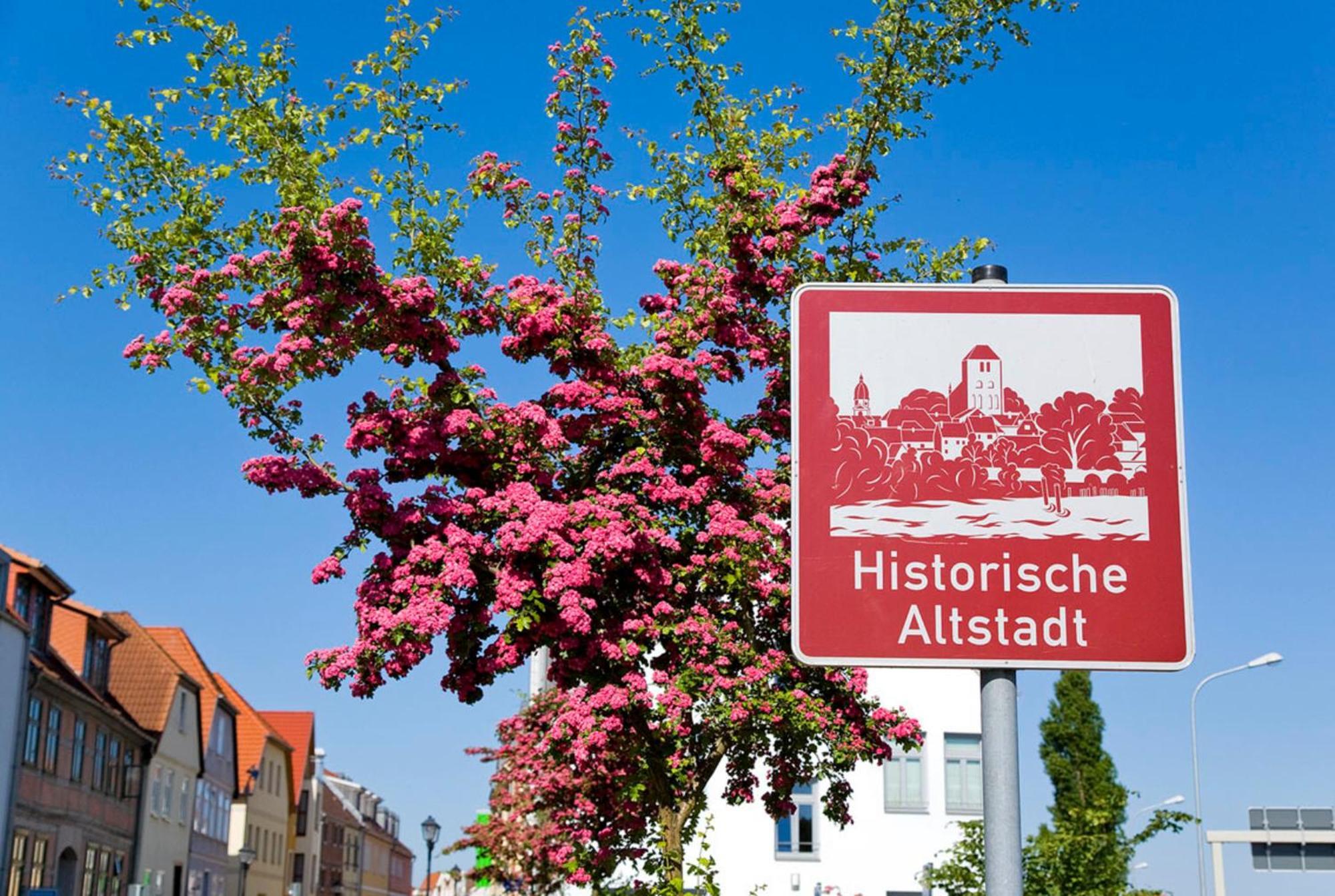 Ferienwohnung Am Muehlenberg Waren  Eksteriør billede
